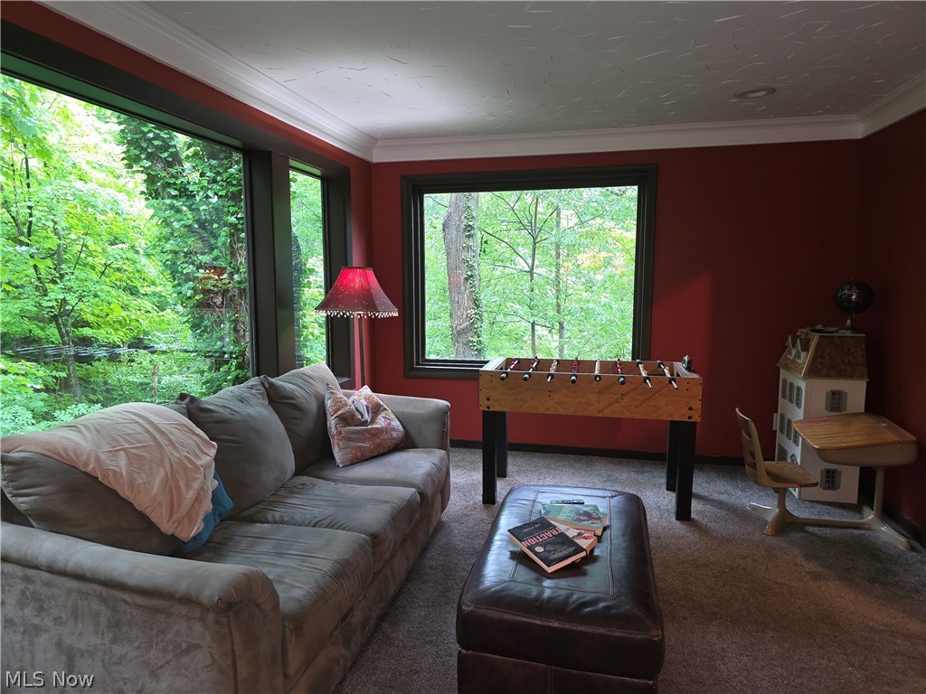 2868 Shade Road Akron, OH 44333 - Photo 19 of 49