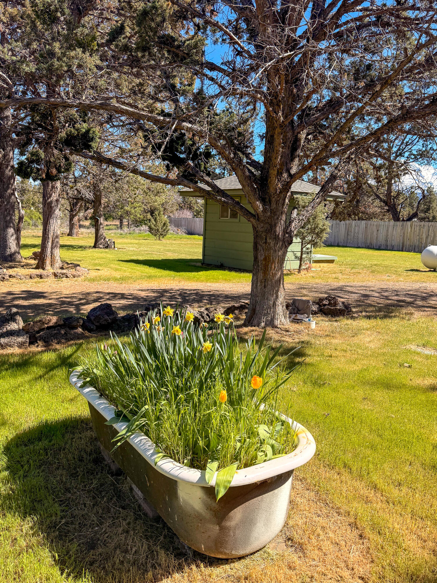 11138 Apache Road Montague, CA 96064 - Photo 3 of 27 IMG_3373