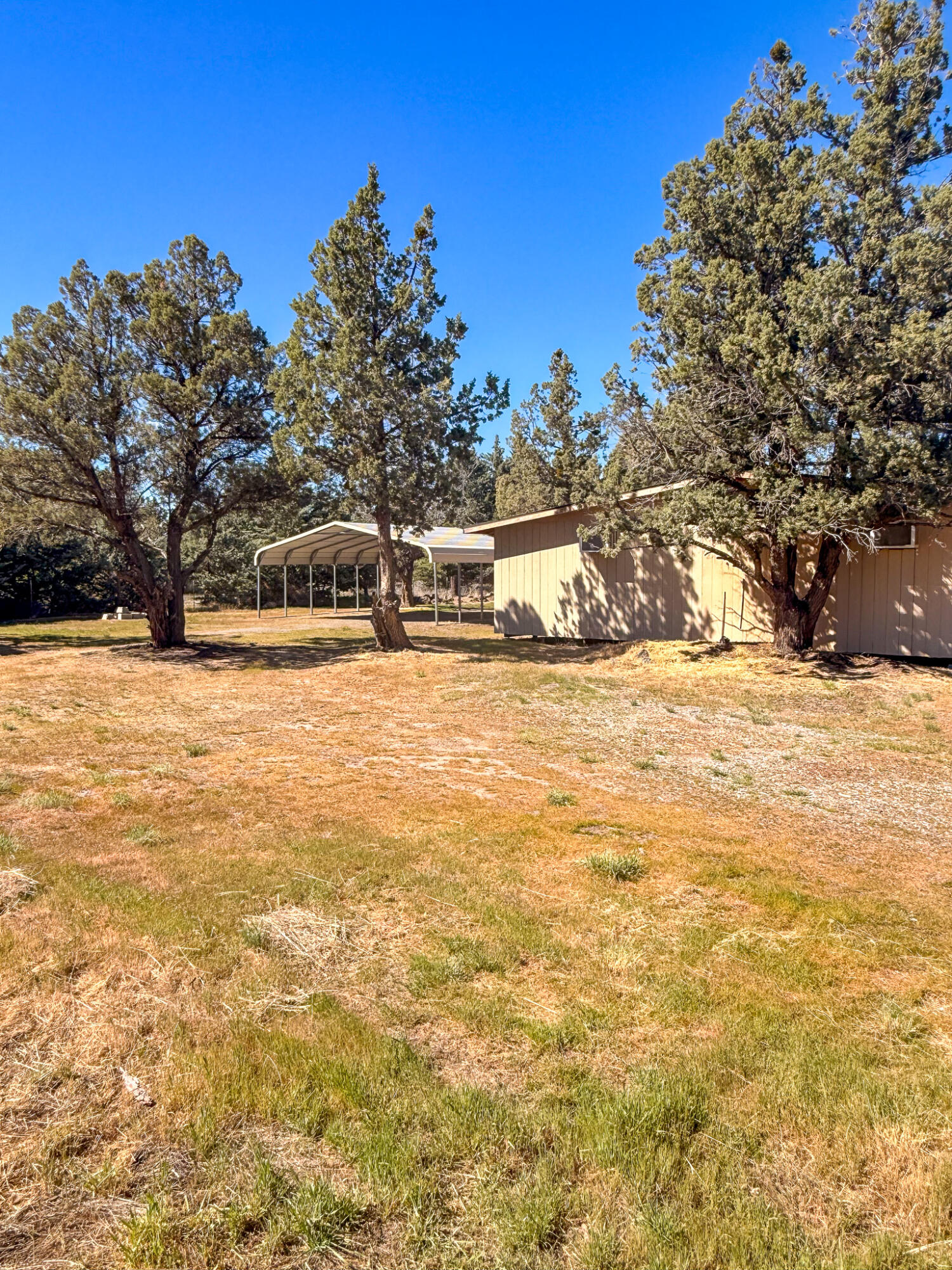 11138 Apache Road Montague, CA 96064 - Photo 5 of 27 IMG_3386