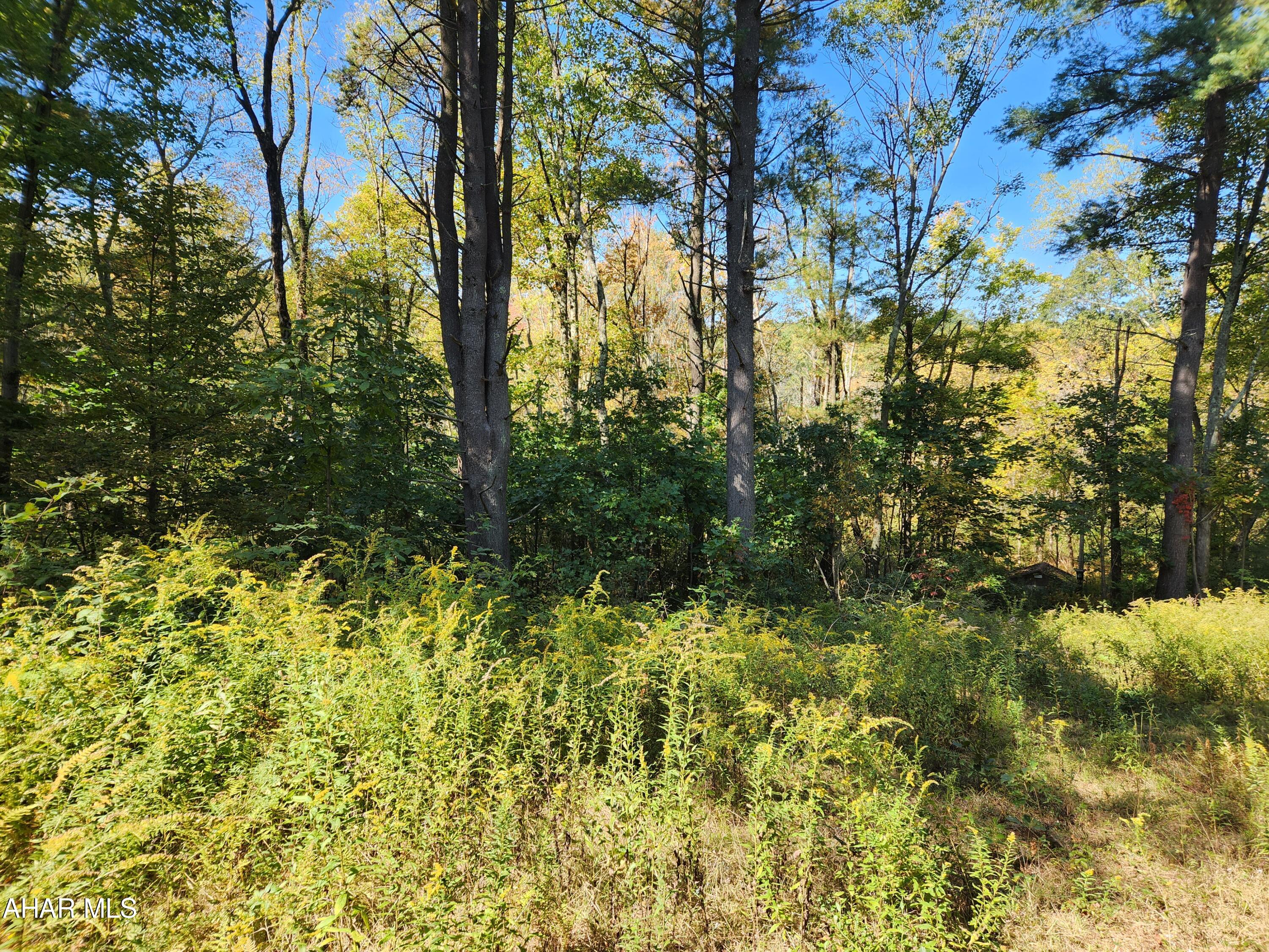 Off Pensyl Hollow Road Bedford, PA 15522 - Photo 4 of 19 Gallery Image 4