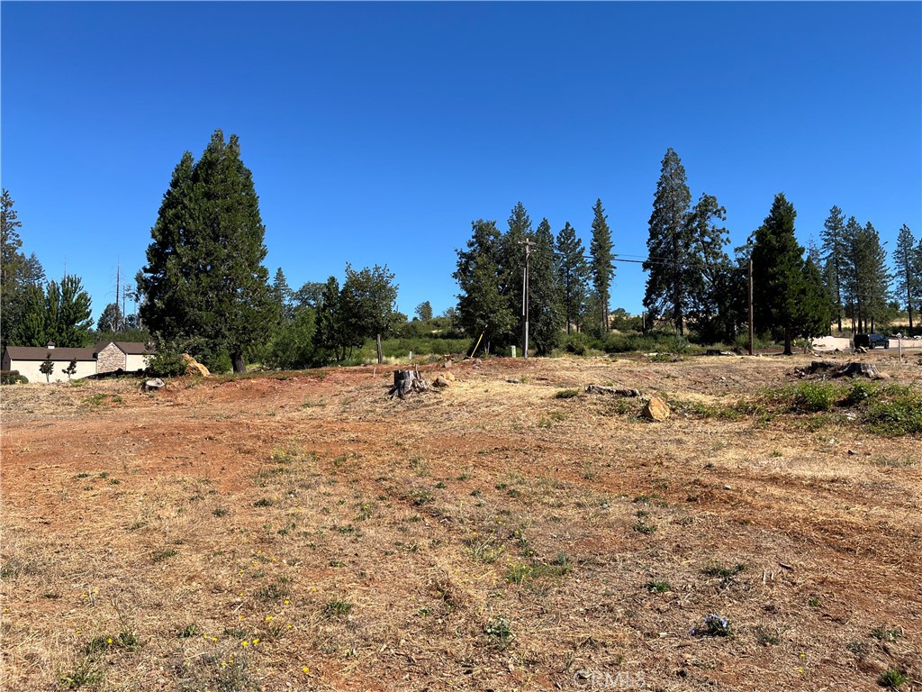 9238 Skyway Road Paradise, CA 95969 - Photo 6 of 9
