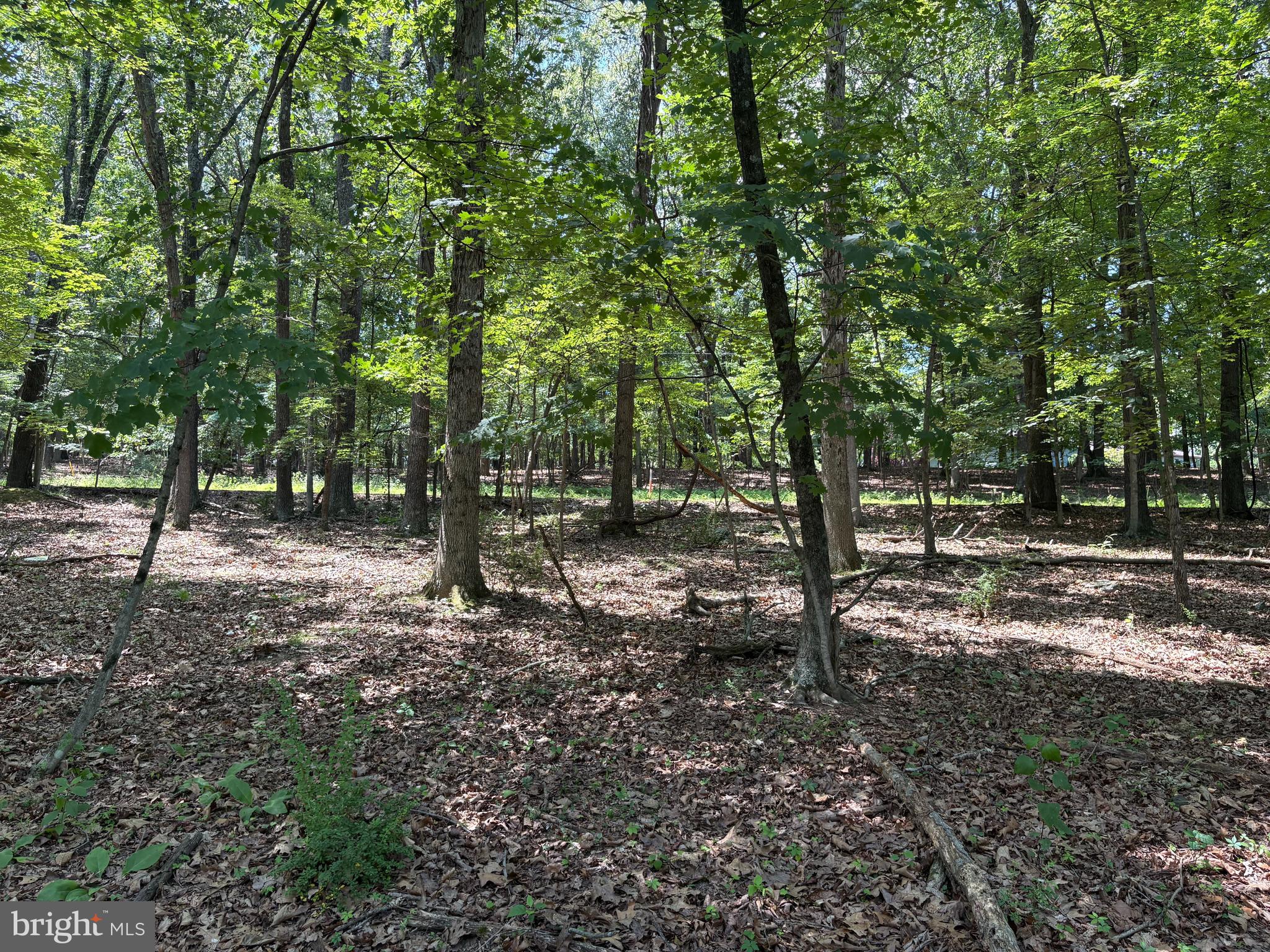 16 Rolling Acres Road Old Fields, WV 26845 - Photo 13 of 21