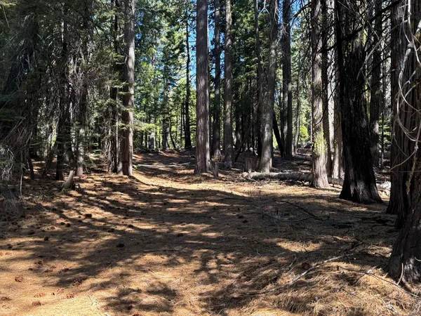 $149,000 | 13325 Serpentine, Nevada City, CA 95959