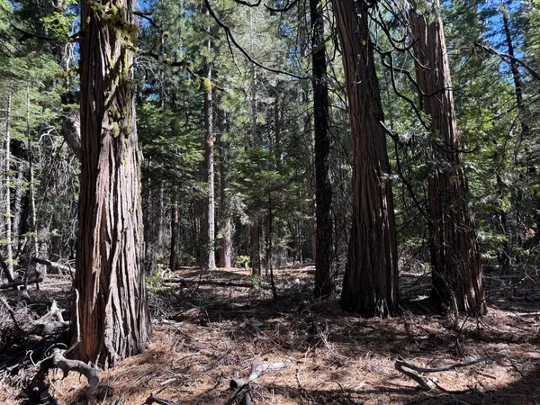 $149,000 | 13325 Serpentine, Nevada City, CA 95959