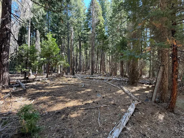 $149,000 | 13325 Serpentine, Nevada City, CA 95959