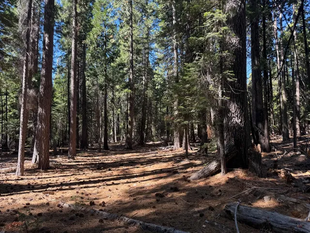 a view of outdoor space with trees