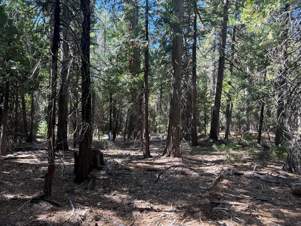 $149,000 | 13325 Serpentine, Nevada City, CA 95959