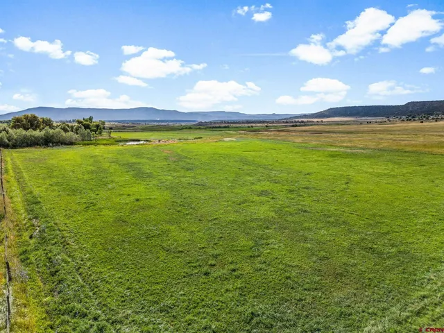 a view of an ocean and beach