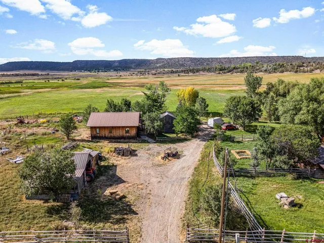 a view of a patio with couple of chairs and a potted plant