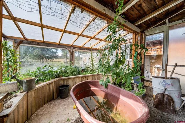 a view of a house with backyard and trees