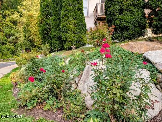 a view of a flower in a garden
