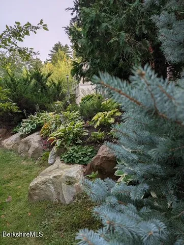 a view of a garden with a tree
