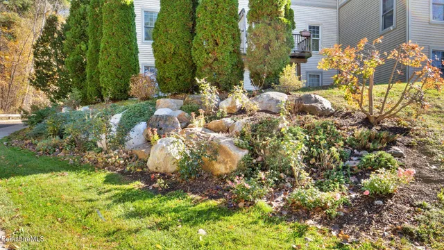 a view of a garden with plants