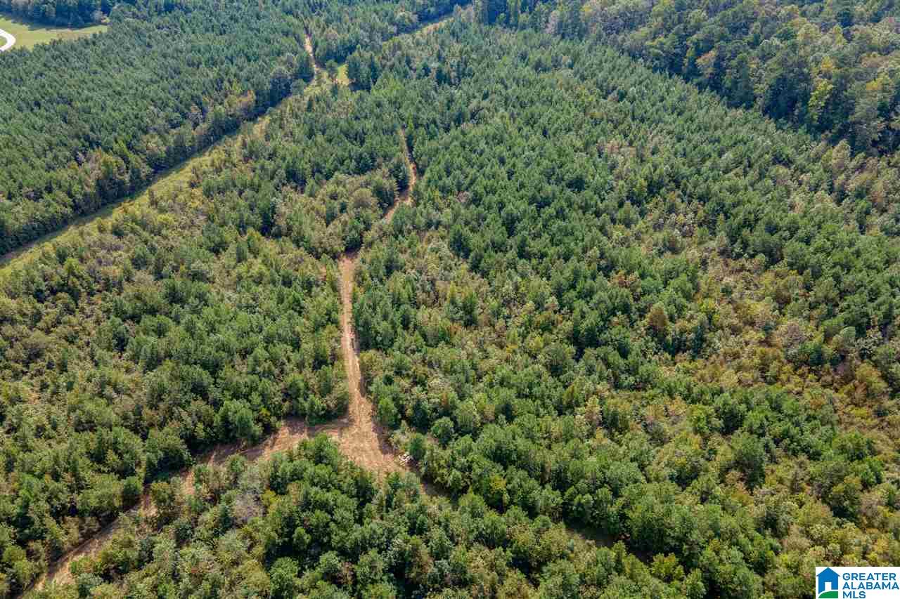 8967 Highway 55, Unit 2 & 3 Sterrett, AL 35147 - Photo 14 of 23