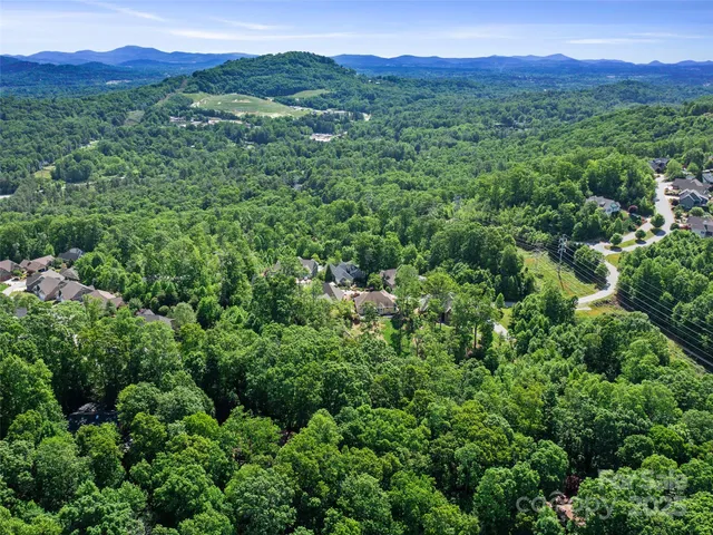 a view of a lush green forest with trees and some houses