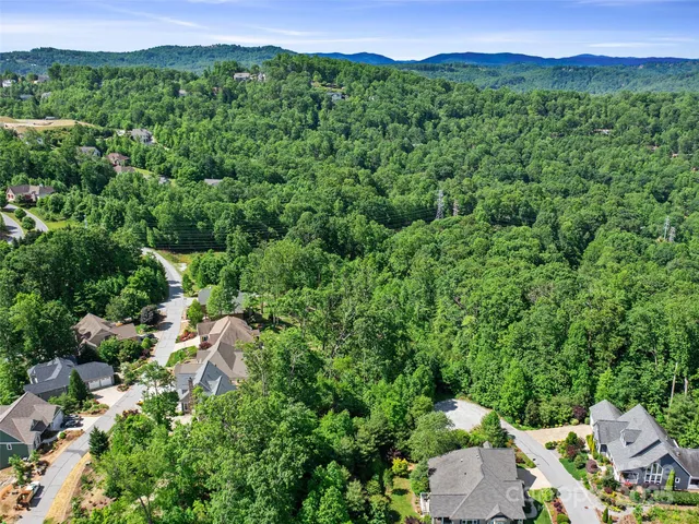 a view of a lush green forest with a house in the background