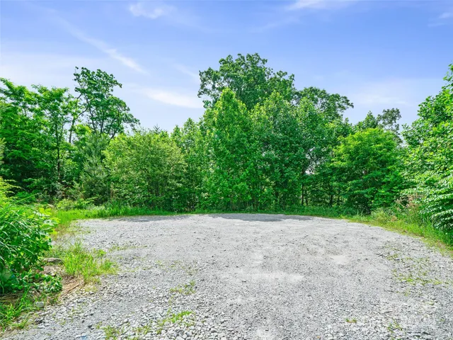 a view of a green field with lots of bushes