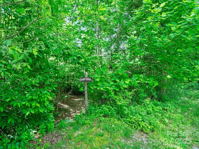 a view of outdoor space and a yard
