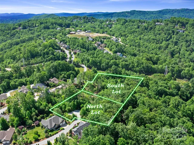 a view of a lush green forest with a mountain