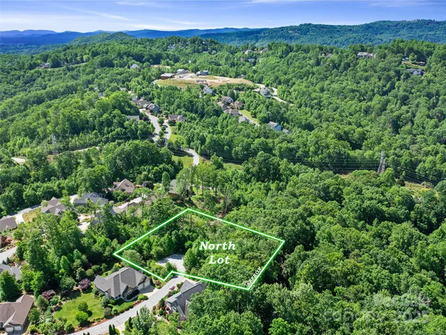 a view of a lush green forest with a mountain in the back