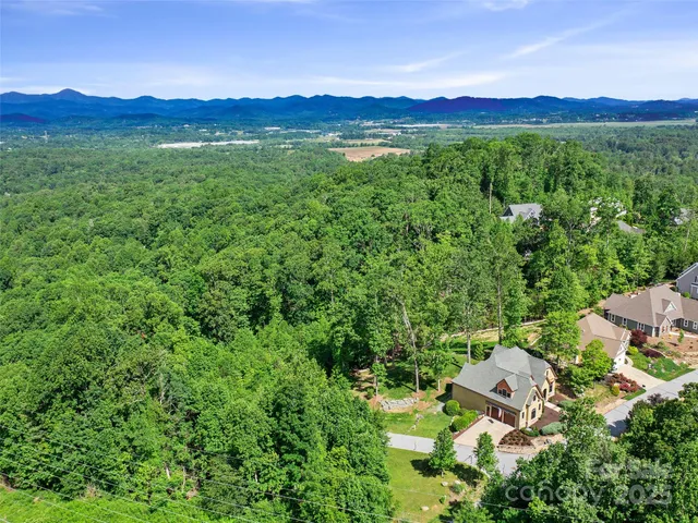 a view of a city with lush green forest