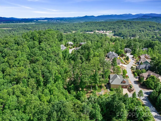 a view of a lush green hillside and houses