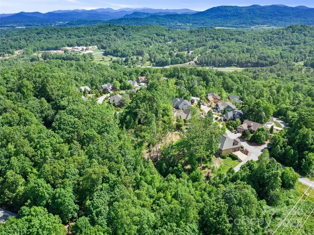 a view of a lush green field with lots of bushes