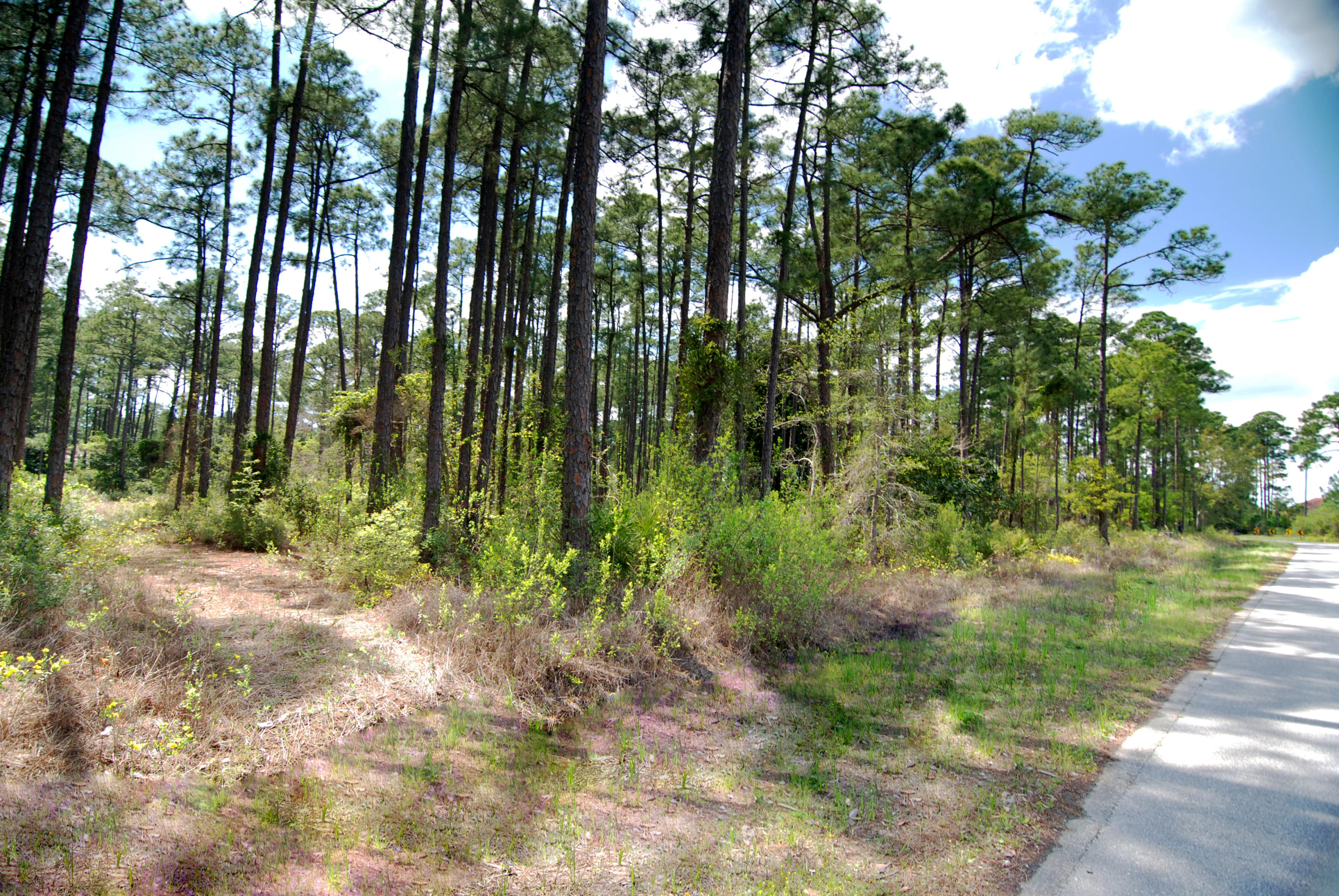 Lot H19 Driftwood Point Road Santa Rosa Beach, FL 32459 - Photo 1 of 5 a big yard with lots of green space and trees