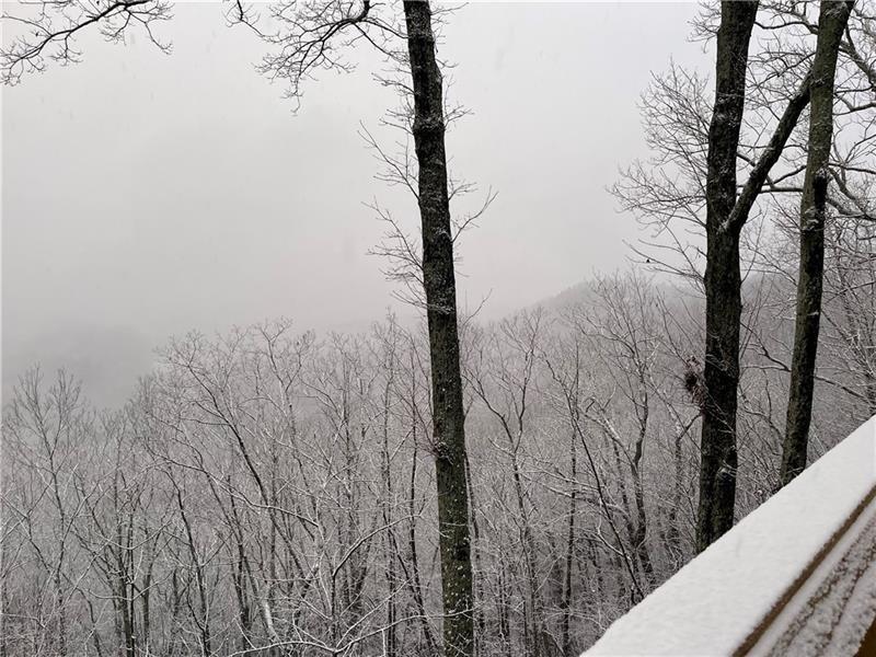 655 Westwind Way Ranger, GA 30734 - Photo 30 of 47 a view of a forest
