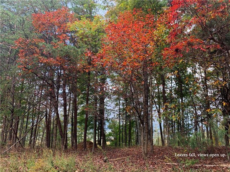 655 Westwind Way Ranger, GA 30734 - Photo 40 of 47 a view of a forest with trees in front of it