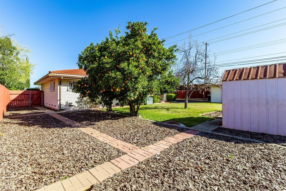 10486 Spaulding Way Rancho Cordova, CA 95670 - Photo 62 of 74 a view of a backyard with a garden