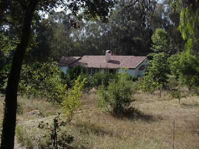 199 Fairview Road Ojai, CA 93023 - Photo 5 of 5 Gallery Image 5