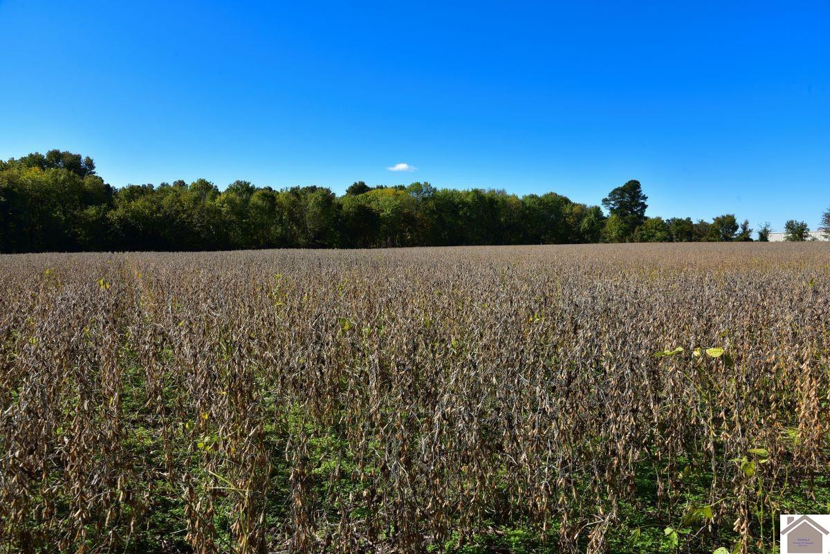0 Kirksey Road Murray, KY 42071 - Photo 24 of 31 Photo 24