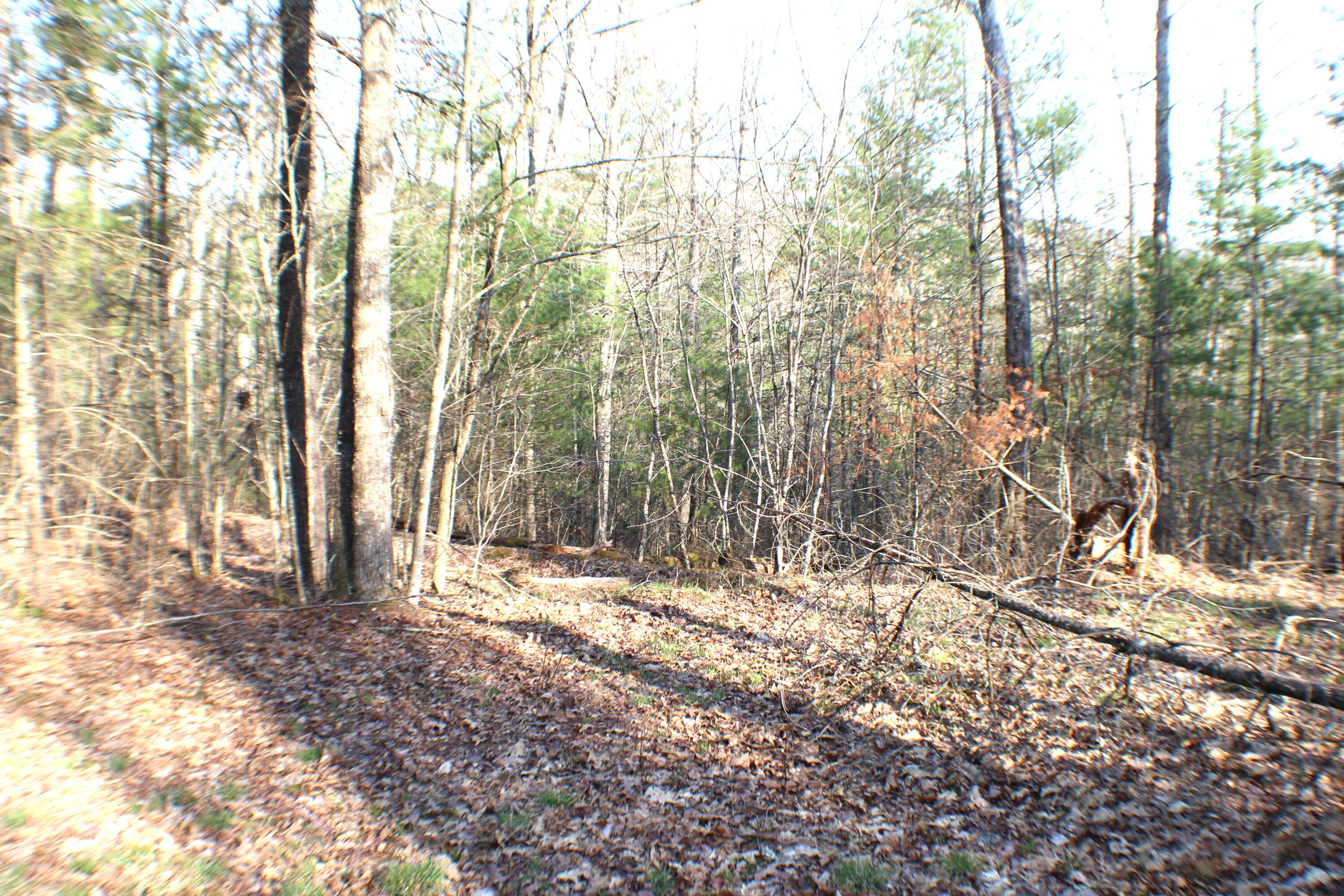 445 Rider Gap Road Marlinton, WV 24954 - Photo 26 of 26 Gallery Image 26