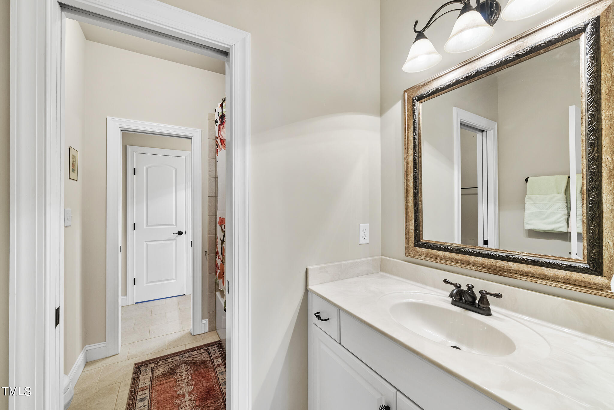 1202 Ileagnes Road Raleigh, NC 27603 - Photo 32 of 53 DSC04076