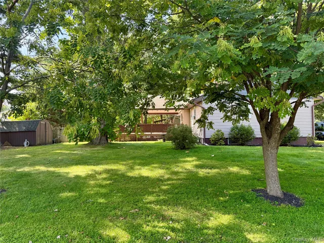 a view of a tree in a yard with large trees