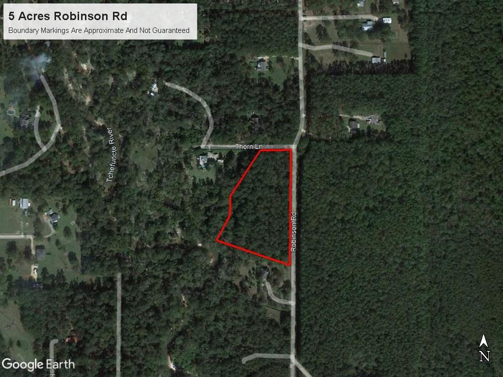 5-acres Robinson Road Folsom, LA 70437 - Photo 3 of 6