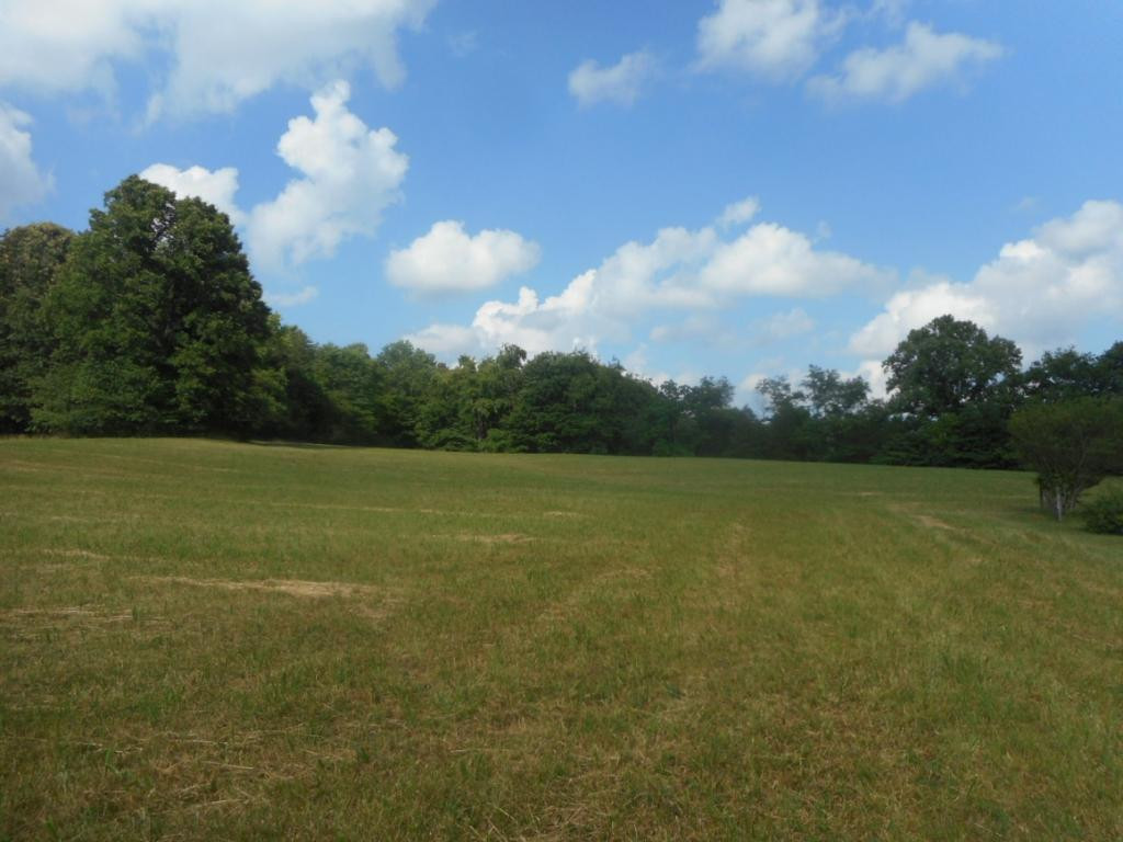 740 Powder Branch Road Elizabethton, TN 37643 - Photo 6 of 21 Photo 6