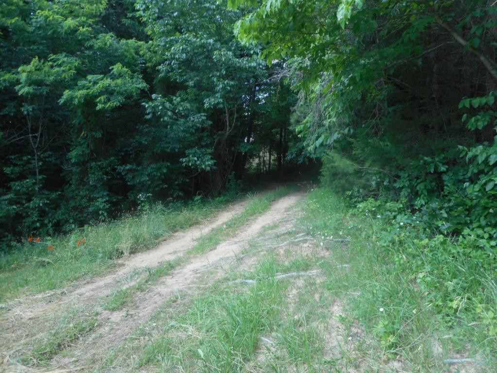 740 Powder Branch Road Elizabethton, TN 37643 - Photo 9 of 21 Photo 9
