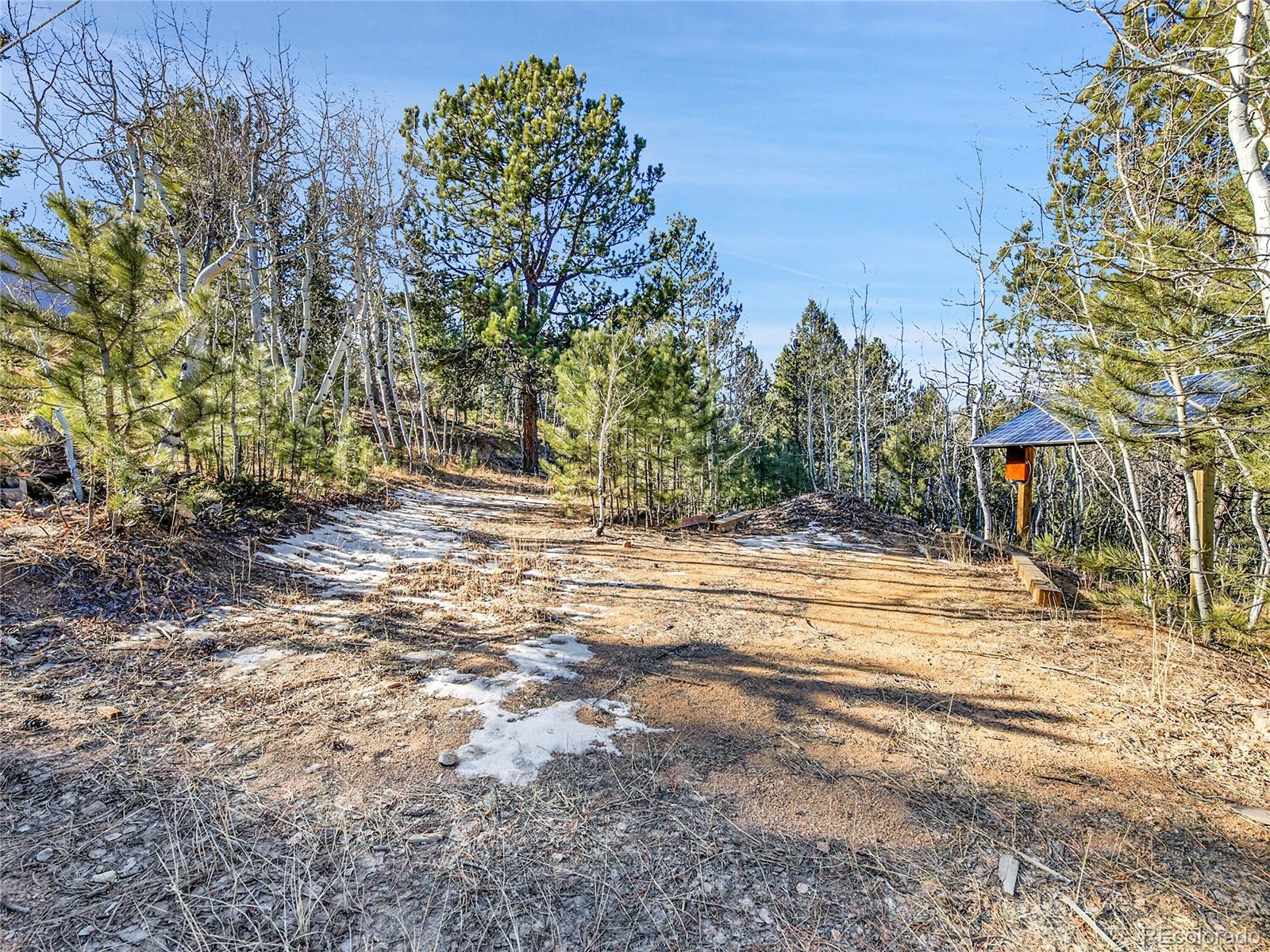 10 Bartimous Road Bailey, CO 80421 - Photo 16 of 30