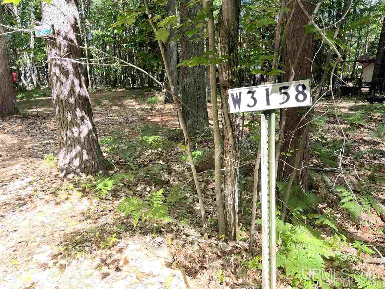 W3158 Co Road Big Bay, MI 49808 - Photo 4 of 16