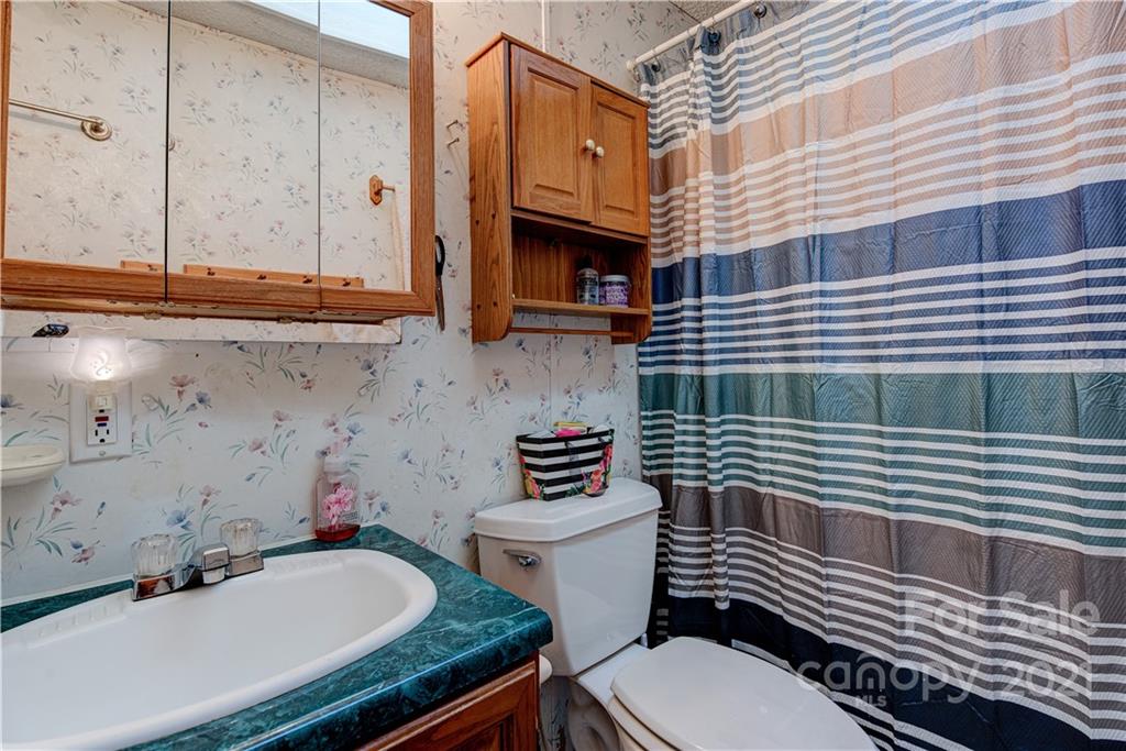 184 Terrys Gap Loop Road Fletcher, NC 28732 - Photo 13 of 28 a bathroom with a sink a toilet and bathtub