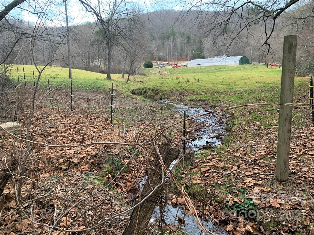184 Terrys Gap Loop Road Fletcher, NC 28732 - Photo 18 of 28 a view of a yard with a tree