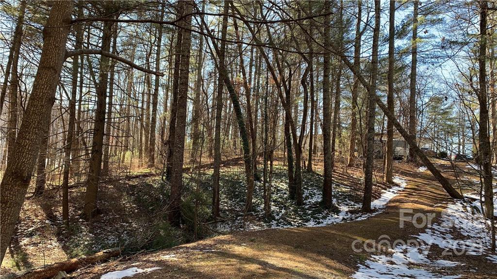 184 Terrys Gap Loop Road Fletcher, NC 28732 - Photo 23 of 28 a view of outdoor space and yard