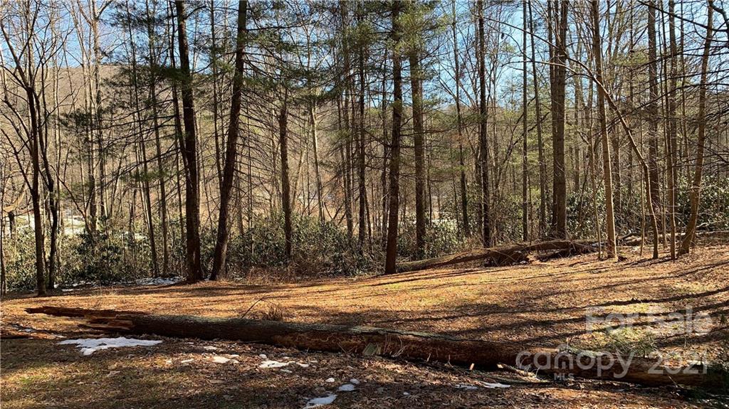 184 Terrys Gap Loop Road Fletcher, NC 28732 - Photo 25 of 28 a view of a house with a yard