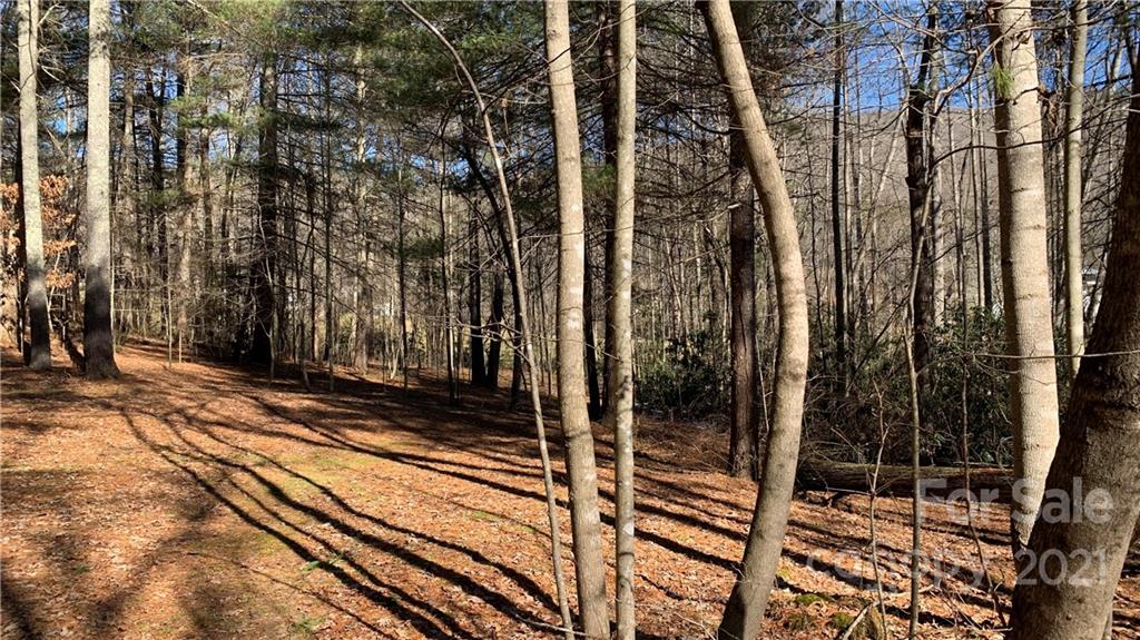 184 Terrys Gap Loop Road Fletcher, NC 28732 - Photo 27 of 28 a view of a pathway of a house
