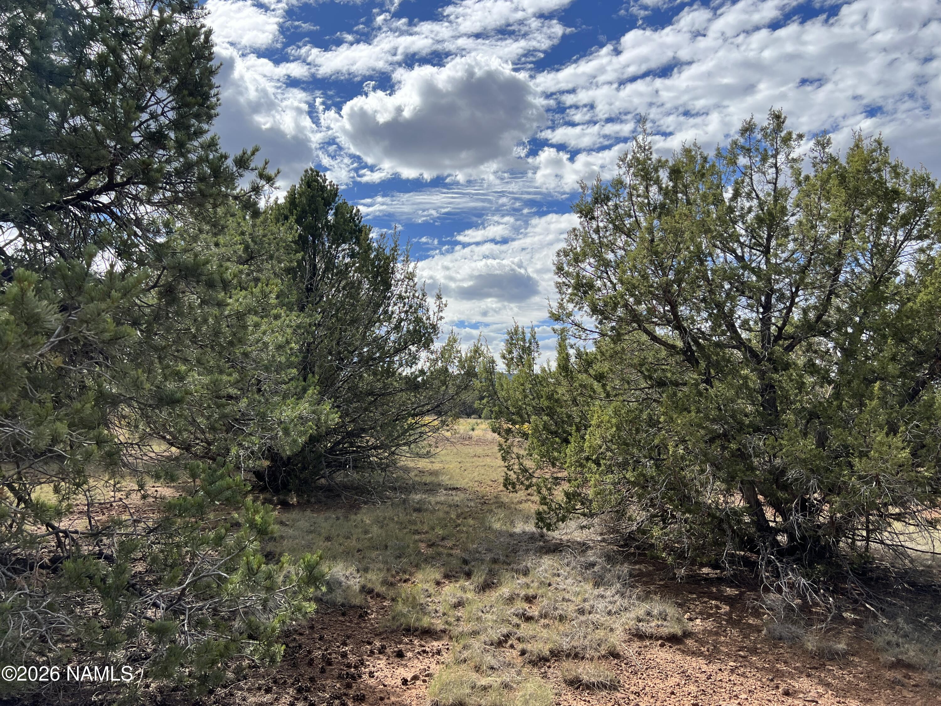 7197 North Red Lake Road Williams, AZ 86046 - Photo 2 of 13 IMG_3420