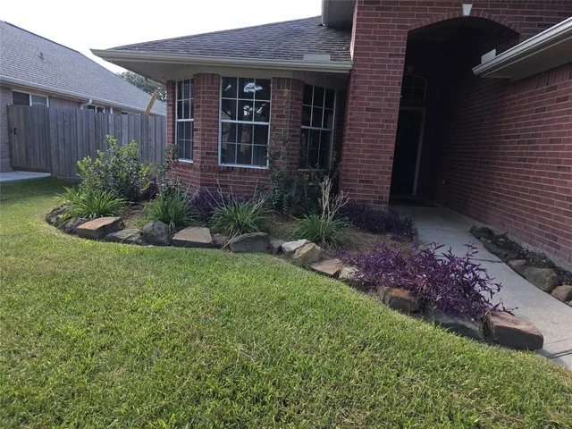 a view of a backyard with plants and large tree