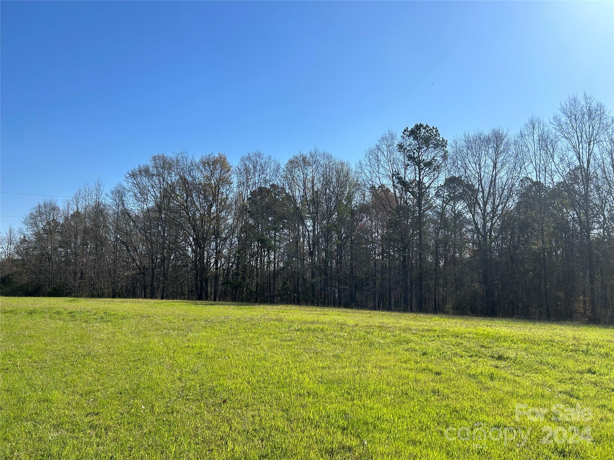 7.78-ac Mt Prospect Road Chester, SC 29706 - Photo 1 of 19 a view of a yard with palm trees