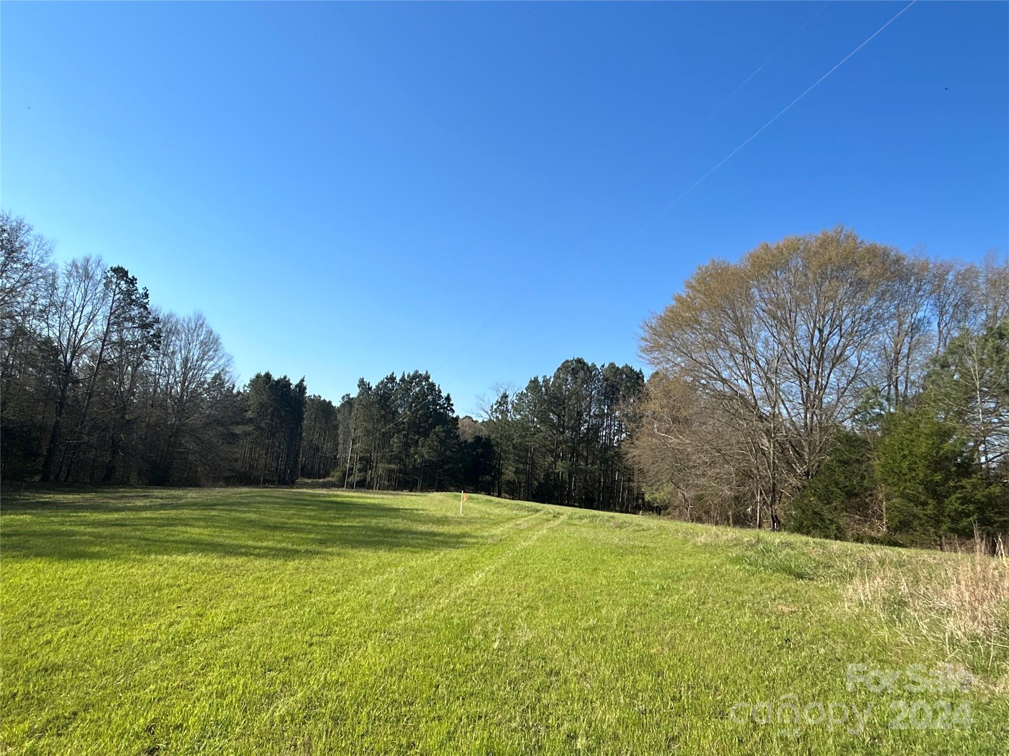 7.78-ac Mt Prospect Road Chester, SC 29706 - Photo 2 of 19 a view of a outdoor space